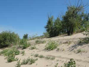 IMG_2412.JPG