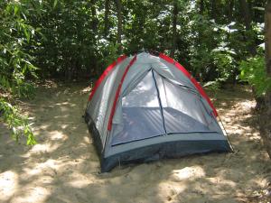 IMG_2397.JPG
