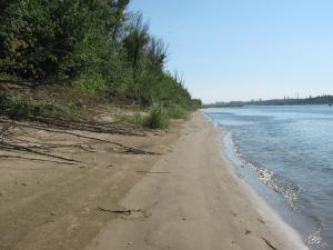 IMG_2502.JPG