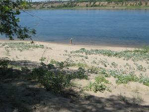 IMG_2395.JPG