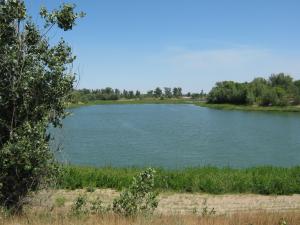 IMG_2495.JPG