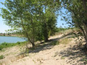 IMG_2486.JPG