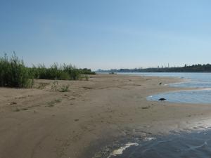 IMG_2512.JPG