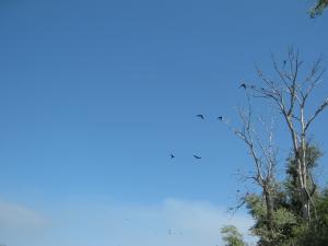 IMG_2442.JPG