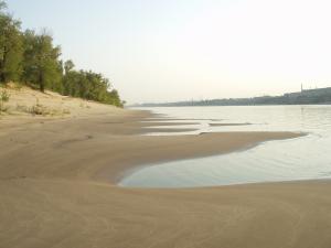 P1010138.JPG