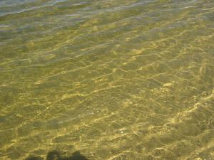 IMG_2400.JPG