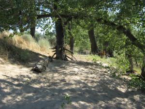 IMG_2508.JPG