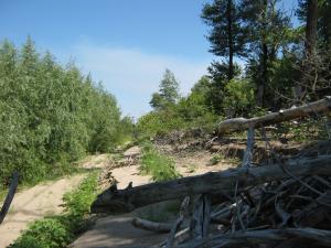 IMG_2451.JPG