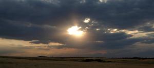 20140710_200248_2 images.jpg