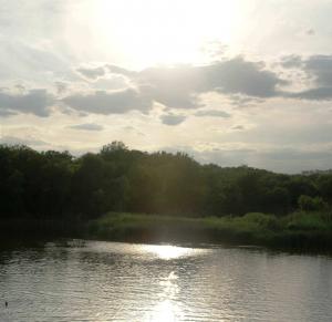 20140710_192146_2 images.jpg