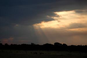 20140724_193142.jpg