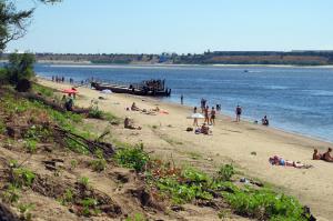 IMG_1598M.JPG