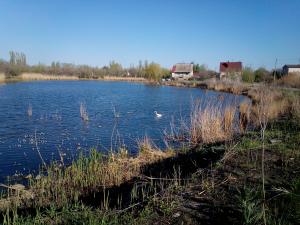 IMG_20140427_174047.jpg