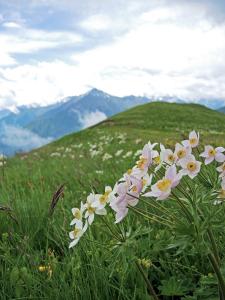DSCN3918.JPG