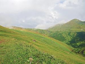 DSCN3897.JPG