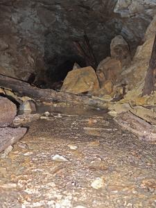DSCN3867.JPG