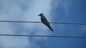 IMG_5821.JPG