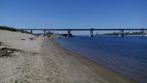 IMG_20150704_094038.jpg