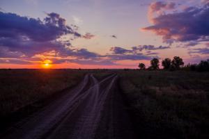 IMG_3424.jpg