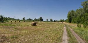 Untitled_Panorama3.jpg