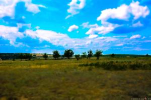 DSC_1204.jpg