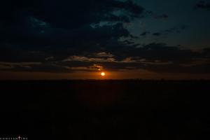 DSC_1240.jpg