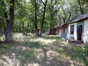 IMG_20150712_105648.jpg