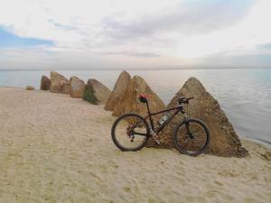 IMG_20150706_081741.jpg