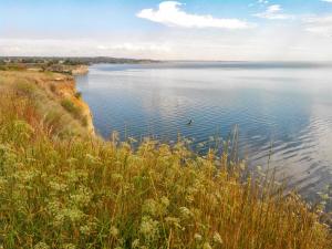 IMG_20150706_093756.jpg