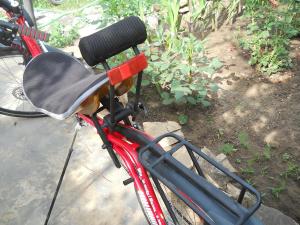 DSCN5709.JPG
