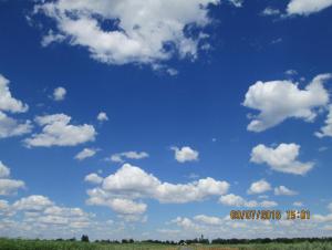 IMG_0165.JPG