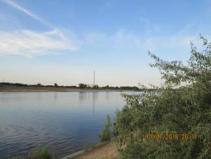 IMG_01481.JPG