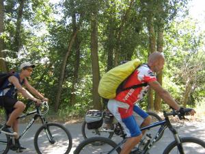 IMG_3584.JPG