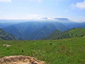 IMG_3146M.JPG