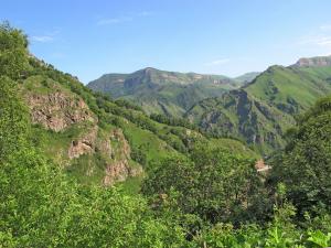 IMG_3141M.JPG