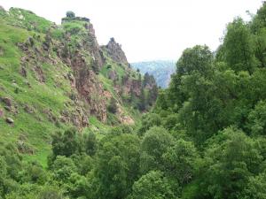 IMG_3166M.JPG