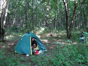 IMG_3367M.jpg