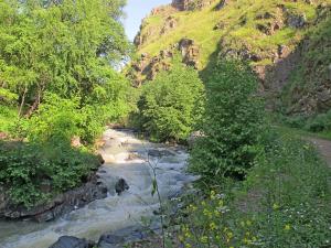 IMG_3140M.JPG