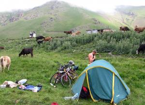 IMG_3225M.JPG