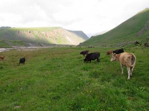 IMG_3228M.JPG