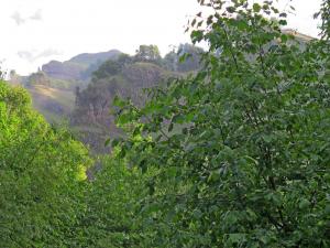 IMG_3122M.JPG