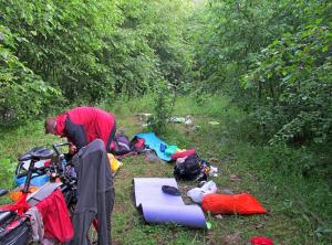 IMG_3120M.JPG