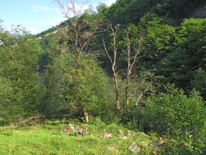 IMG_3363M.jpg