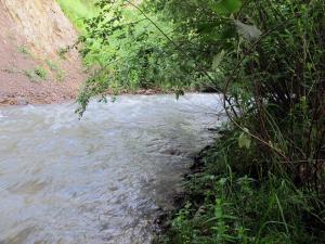 IMG_3126M.JPG