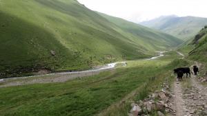 IMG_3248M.JPG