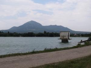 IMG_3388M.jpg