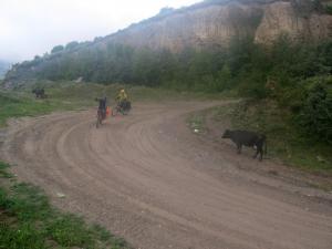 IMG_3275M.JPG