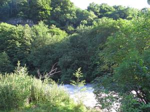 IMG_3362M.jpg