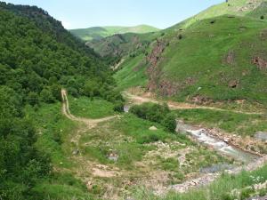 IMG_3161M.JPG