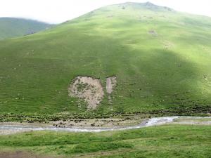 IMG_3247M.JPG